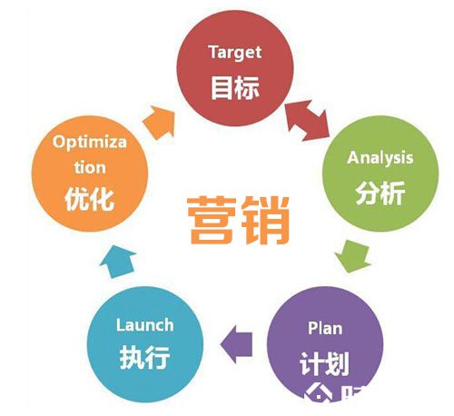营销型网站建设与运营维护 从吸引访客到持续增长